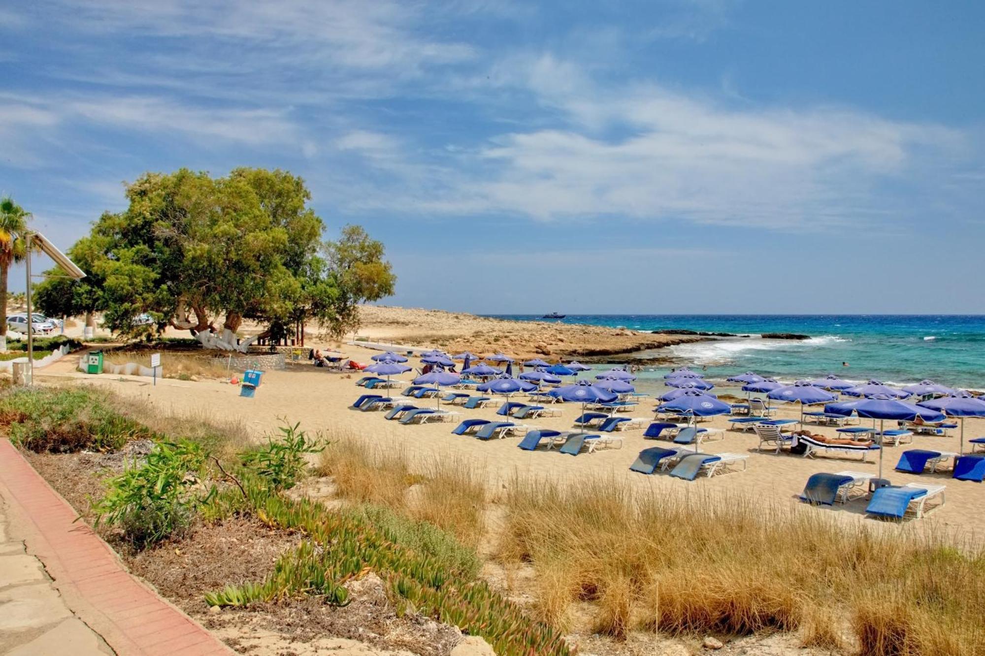 Beachfront Luxury Villa Idania 圣纳帕 外观 照片